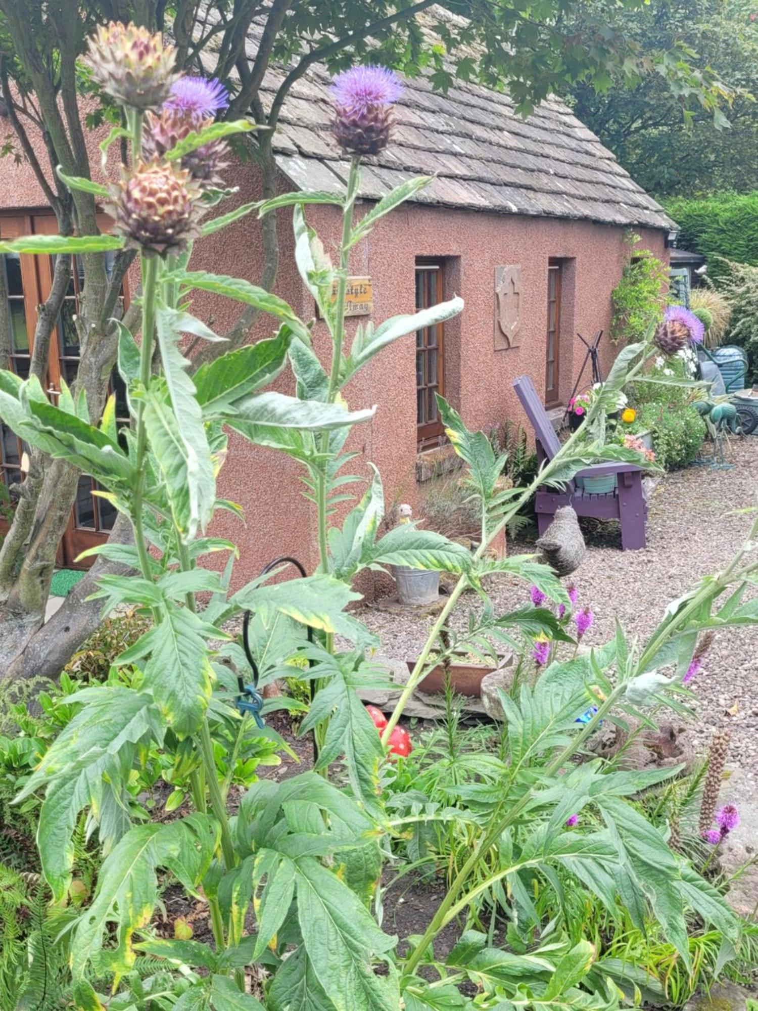 Kirkstyle Hideaway Bed and Breakfast Arbroath Buitenkant foto